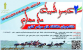 تمدید مهلت ثبت نام در دومین المپیاد ملی مهارتی دانشجویان دانشگاه های کشور تا ۳۰ بهمن