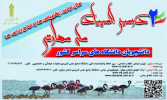 تمدید مهلت ثبت نام در دومین المپیاد ملی مهارتی دانشجویان